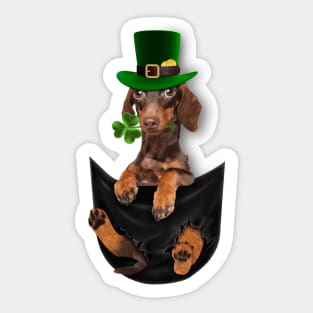 Cute Dachshund Puppy In Pocket St Patricks Day Shirt Shamrock Wiener Dog Lovers T Shirt Sticker